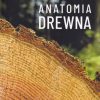 Anatomia drewna