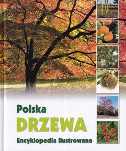 Polska. DRZEWA - Encyklopedia ilustrowana