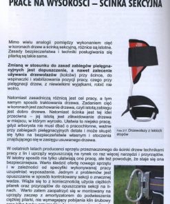 Arborystyka - podręcznik bezpiecznej pracy II