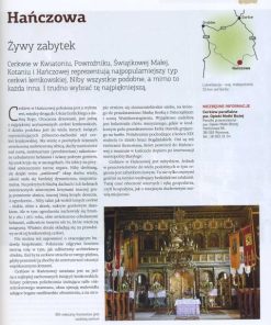 Architektura drewniana - podróże po Polsce