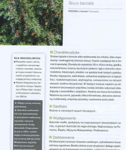 Atlas drzew i krzewów polskich