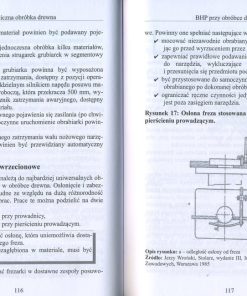 Pozyskiwanie, transport i obróbka drewna - Vademecum BHP w praktyce