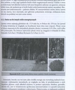 Biopaliwa - proekologiczne odnawialne źródła energii