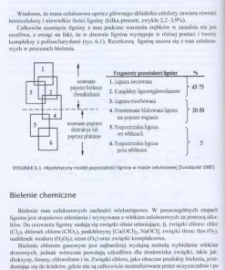 Biotechnologia i wykorzystanie dendromasy