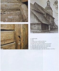 Kościoły drewniane o zdwojonej konstrukcji ścian w Wielkopolsce