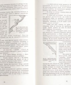 Cieślictwo polskie (Reprint 1930)