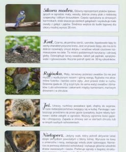 Domki dla zwierząt w ogrodzie