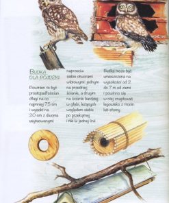 Domki i schronienia dla zwierząt