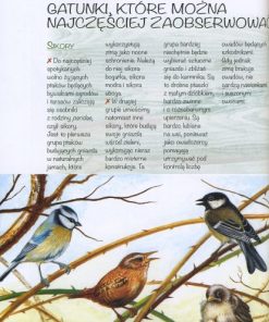 Domki i schronienia dla zwierząt