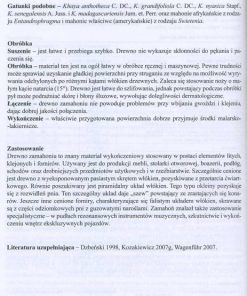 Drewno egzotyczne - rozpoznawanie, właściwości, zastosowanie