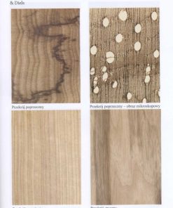 Drewno egzotyczne - rozpoznawanie, właściwości, zastosowanie