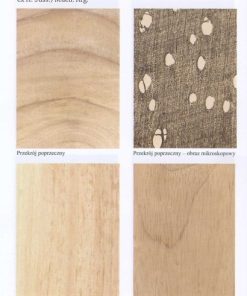 Drewno egzotyczne - rozpoznawanie, właściwości, zastosowanie