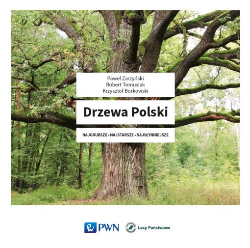 Drzewa Polski - Najgrubsze Najstarsze Najsłynniejsze