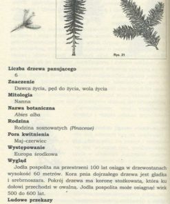 Drzewa pomagają leczyć