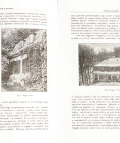 Dwór w Rogowie - Zabytek budownictwa drewnianego XVII wieku