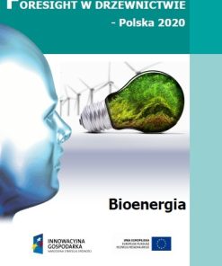 Foresight w drzewnictwie - Polska 2020. Obszar badawczy: Bioenergia - ebook