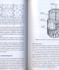 Inżynieria materiałów drzewnych