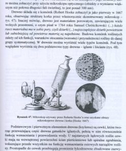 Klimat a drewno zabytkowe - dawna i współczesna wiedza o drewnie