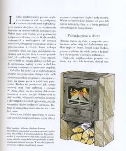 Kominki, piece, piecyki