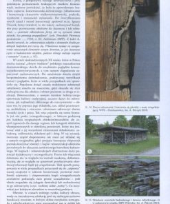 Konserwacja drewna zabytkowego - między teorią a praktyką