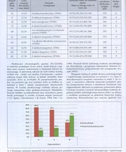 Konserwacja drewna zabytkowego - między teorią a praktyką