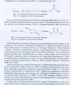 Badania nad modyfikacją drewna w aspekcie jego wykorzystania jako napełniacza polipropylenu