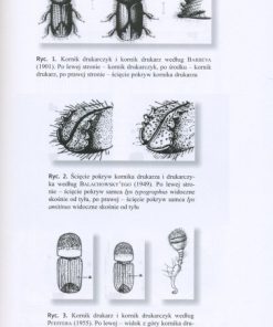 Ochrona lasu - wybrane problemy historyczne i współczesne