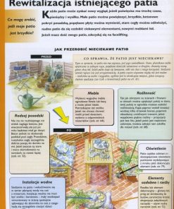 Patio - fachowe porady