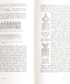 Polskie budownictwo drewniane (Reprint 1916)