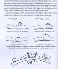 Poradnik dla właścicieli lasów prywatnych