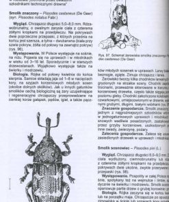 Poradnik ochrony lasu