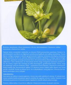 Poznaj... rośliny leśne