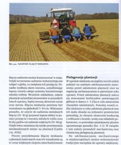 Wieloletnie rośliny energetyczne