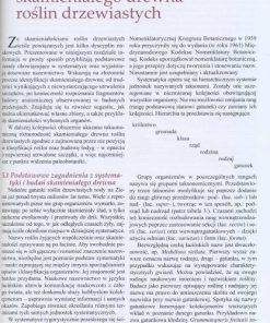 Skamieniałe drewno