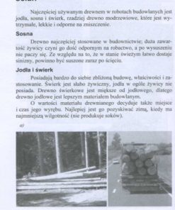 Technologia budowy domów z drewna
