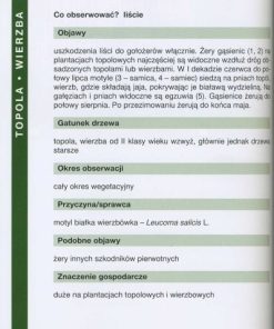 Uszkodzenia drzew leśnych - poradnik leśnika