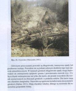 Użytkowanie w drzewostanach poklęskowych