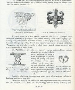 Zdobienie i sprzęt ludu polskiego na Podhalu