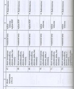 Zużycie materiałów drzewnych w gospodarce