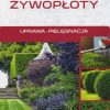 Żywopłoty Uprawa Pielęgnacja