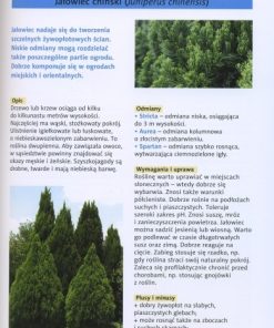 Żywopłoty Uprawa Pielęgnacja