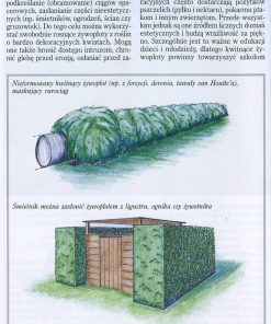 Żywopłoty