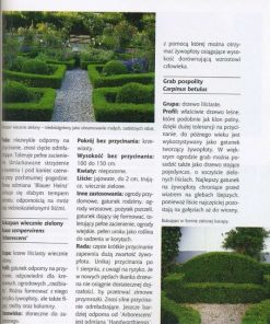 Żywopłoty - najpiękniejsze rośliny, cięcie, pielęgnowanie