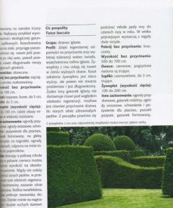 Żywopłoty - najpiękniejsze rośliny, cięcie, pielęgnowanie