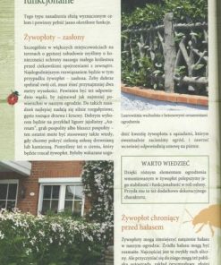 Żywopłoty - rośliny pnące i osłonowe