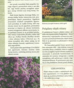 Żywopłoty - rośliny pnące i osłonowe