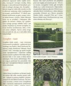 Żywopłoty - rośliny pnące i osłonowe