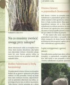 Żywopłoty - rośliny pnące i osłonowe