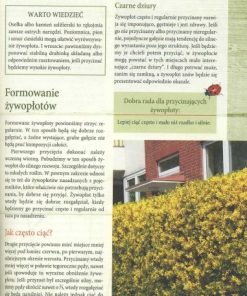 Żywopłoty - rośliny pnące i osłonowe