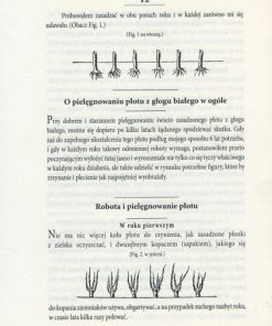 Żywy płot z głogu białego - Reprint 1844